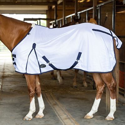 Image showing 2 th Reinsman Durable Mesh Horse Fly Sheet