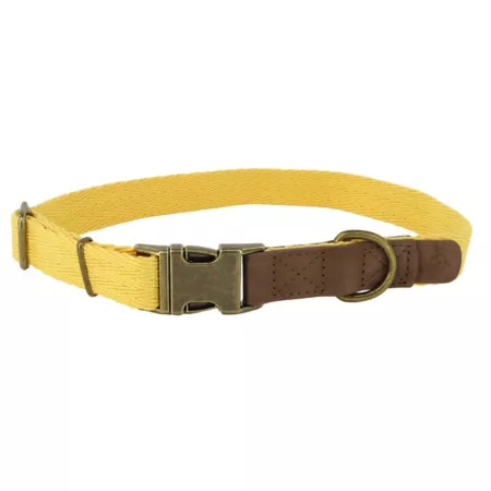 MuttNation Fueled by Miranda Lambert Solid Color Adjustable Woven Dog Collar Dog Basic Collars