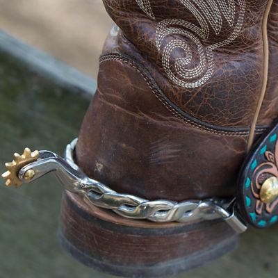 Image showing  Women's Stainless Twisted 10-Point Spurs, 1-3/4 in. Shank