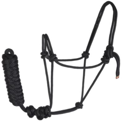 Reinsman Polypropylene Braided Rope Horse Halter with 10 ft. Lead