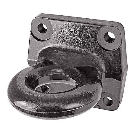 Reese Towpower 2-1/2 in. Lunette Ring, 21,000 lb. Capacity