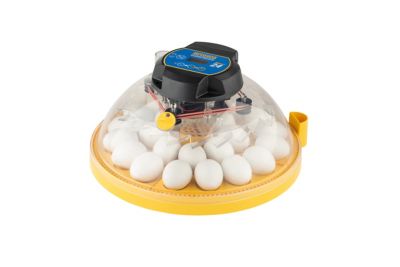 Brinsea 24-Egg Capacity Maxi 24 Advance Automatic Egg Incubator