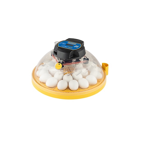 Brinsea 24-Egg Capacity Maxi 24 Advance Automatic Egg Incubator