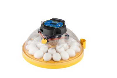Brinsea 24-Egg Capacity Maxi 24 EX Fully Automatic Egg Incubator