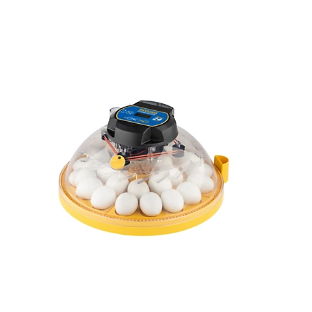 Brinsea 24-Egg Capacity Maxi 24 EX Fully Automatic Egg Incubator