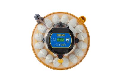 Image showing  24-Egg Capacity Maxi 24 EX Fully Automatic Egg Incubator