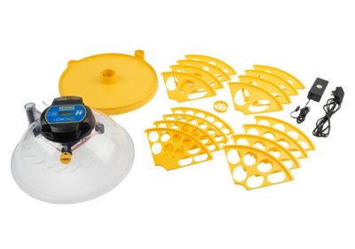 Image showing  24-Egg Capacity Maxi 24 EX Fully Automatic Egg Incubator