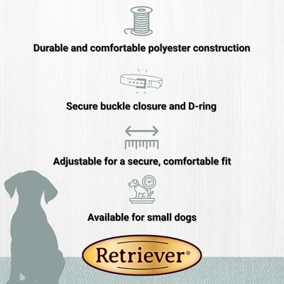 Image showing  Adjustable Ribbon Dog Collar, 5/8 in. x 8-12 in.