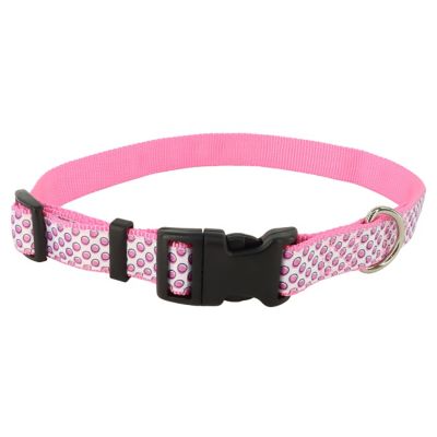 Retriever Adjustable Ribbon Overlay Dog Collar, 5/8 in. x 12-18 in.