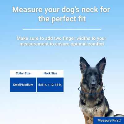 Image showing  Adjustable Ribbon Overlay Dog Collar, 5/8 in. x 12-18 in.