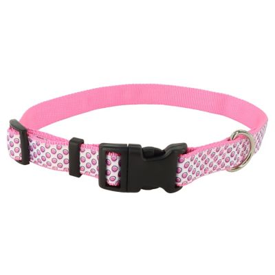 Retriever Adjustable Ribbon Dog Collar