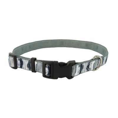 Retriever Adjustable Ribbon Dog Collar at Tractor Supply Co.