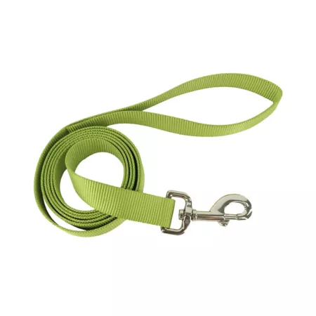 Retriever Single-Ply Strong Nylon Dog Leash Dog Basic Leashes