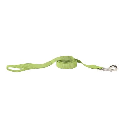 Image showing  Solid Single-Ply Nylon Dog Leash