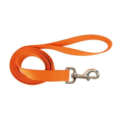 Retriever Solid Single-Ply Nylon Dog Leash