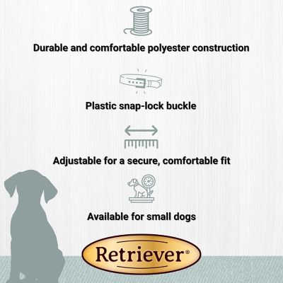 Image showing  Adjustable Dog Collar, Orange