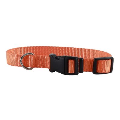 Retriever 5/8 in. x 10-14 in. Adjustable Dog Collar