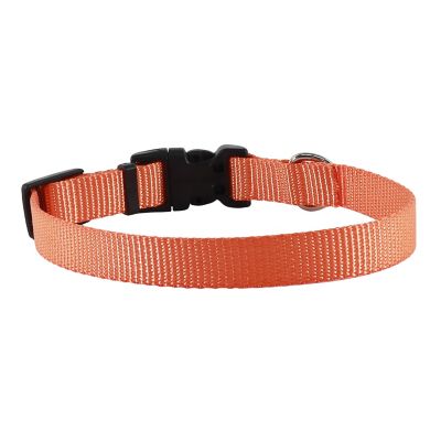 Image showing  Adjustable Dog Collar, 5/8 in. x 10-14 in.