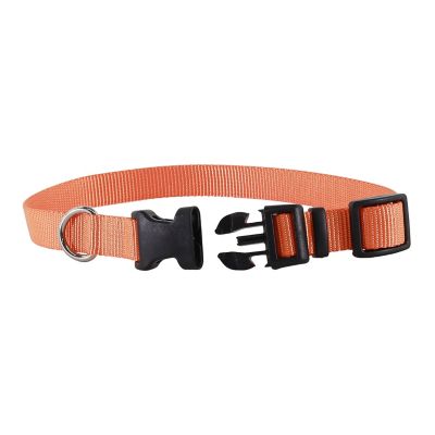 Image showing  Adjustable Dog Collar, 3/4 in. x 14-20 in.