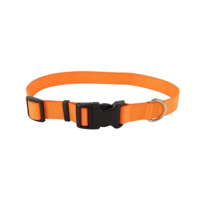 Retriever Solid Color Adjustable Dog Collar with Plastic Buckle