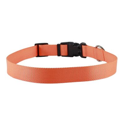 Image showing  Solid Color Adjustable Dog Collar with Plastic Buckle