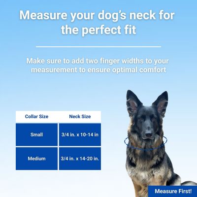 Image showing  Adjustable Sport Dog Collar