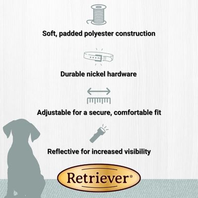 Image showing  Adjustable Sport Dog Collar