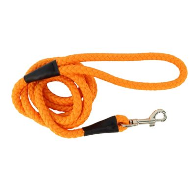 Retriever Rope Dog Leash, 6 ft.