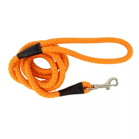 Retriever Rope Dog Leash 6 ft. Dog Basic Leashes