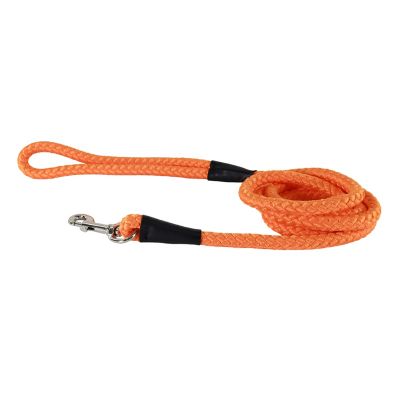 Image showing  Rope Dog Leash, 6 ft.