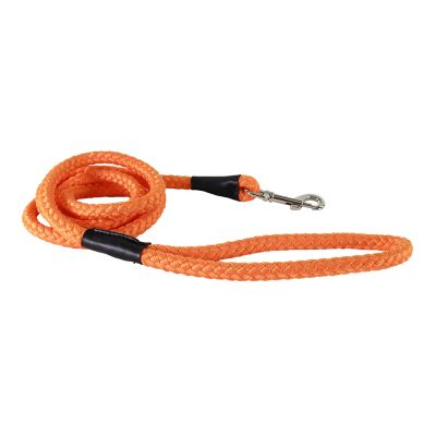 Image showing  Rope Dog Leash, 6 ft.