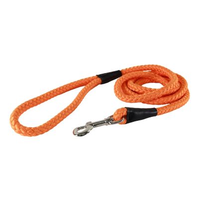 Image showing  Rope Dog Leash, 6 ft.