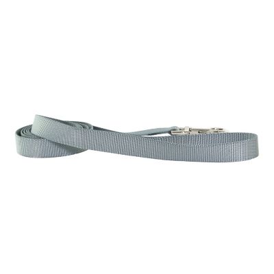 Image showing  Solid Single-Ply Nylon Dog Leash