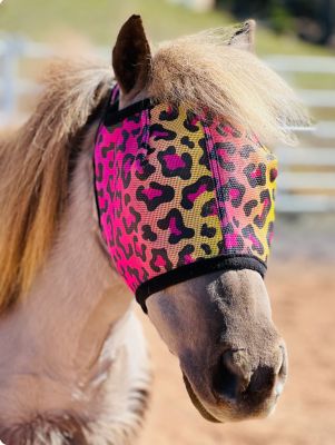 Image showing  Rainbow Cheetah Pattern Miniature Horse/Pony Fly Mask without Ears