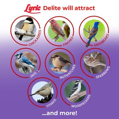 Image showing  Delite No Waste Bird Food Mix with Shell-Free Nuts and Seeds, Attracts Chickadees and Finches, 5 lb.