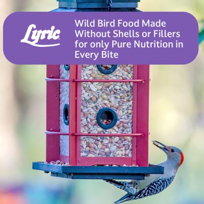 Image showing 8 th Lyric Delite No Waste Bird Food Mix with Shell-Free Nuts and Seeds, Attracts Chickadees and Finches