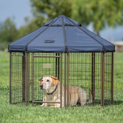 Image showing  4 ft. Octagonal Dog Kennel with Cobalt Sky Blue Cover