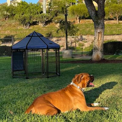 Image showing 5 th Pet Gazebo 4 ft. Octagonal Dog Kennel with Cobalt Sky Blue Cover