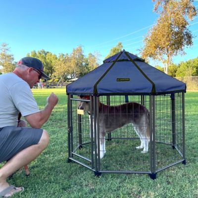 Image showing 6 th Pet Gazebo 4 ft. Octagonal Dog Kennel with Cobalt Sky Blue Cover
