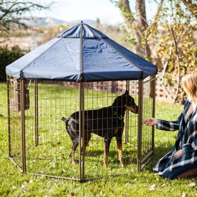 Image showing  5 ft. x 5 ft. x 5 ft. Welded Wire Dog Kennel with Cobalt Sky Blue Cover