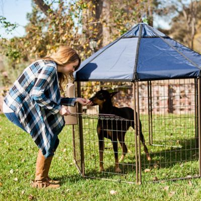 Image showing 5 th Pet Gazebo 5 x 5 x 5ft. Welded Wire Dog Kennel with Cobalt Sky Blue Cover