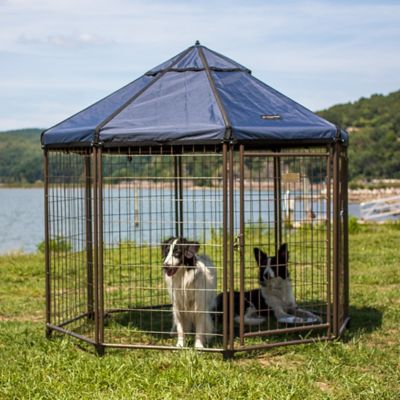 Image showing 6 th Pet Gazebo 5 x 5 x 5ft. Welded Wire Dog Kennel with Cobalt Sky Blue Cover
