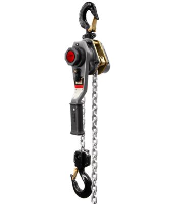 Image showing  1-Ton 60 ft. Lift 1-Phase Electric Chain Hoist