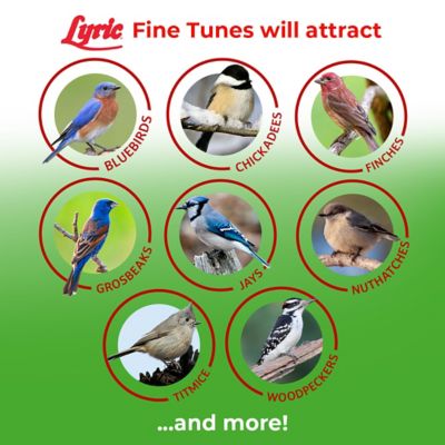 Image showing  Fine Tunes No Waste Bird Food Mix, Attracts Bluebirds, Finches, Chickadees and More, 5 lb.