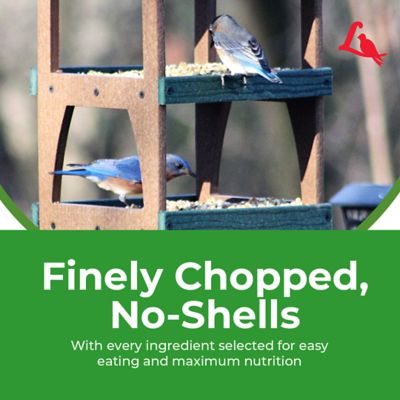 Image showing 7 th Lyric Fine Tunes No Waste Bird Food Mix, Attracts Bluebirds, Finches, Chickadees and More