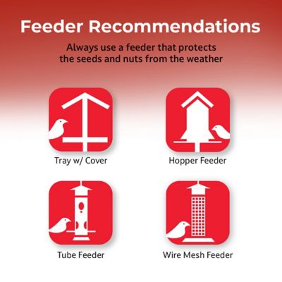 Image showing 5 th Lyric Fruit and Nut High Energy Mix, Attracts Woodpeckers and Chickadees