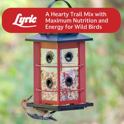 Image showing 8 th Lyric Fruit and Nut High Energy Mix, Attracts Woodpeckers and Chickadees