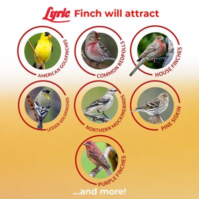 Image showing  Small Songbird Bird Finch Food, Attracts Goldfinches, House Finches and Purple Finches, 5 lb.