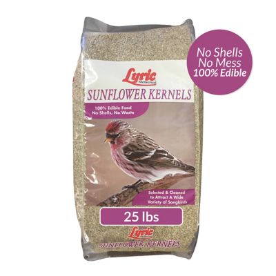 Lyric Sunflower Kernels No Waste Bird Food, Attracts Chickadees, Finches, Cardinals and More, 25 lb. Bag Great Bird Feed