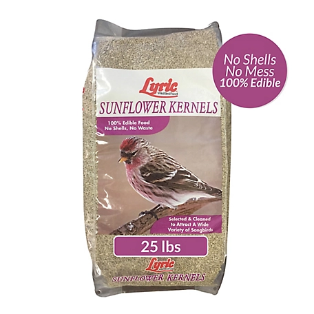 Lyric Sunflower Kernels No Waste Bird Food, Attracts Chickadees, Finches, Cardinals and More, 25 lb. Bag